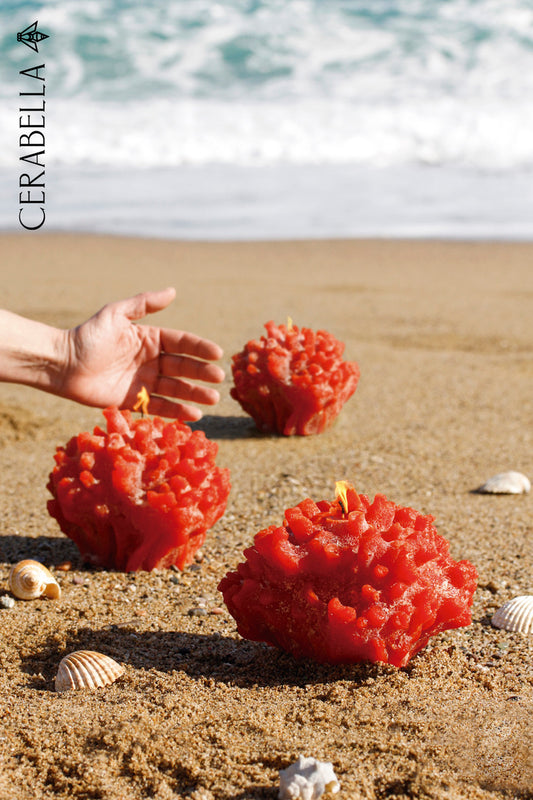 Cerabella SIR LANKASTER - Coral Kerzenobjekt