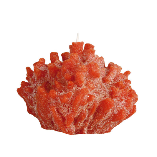 Cerabella SIR LANKASTER - Objet bougie corail