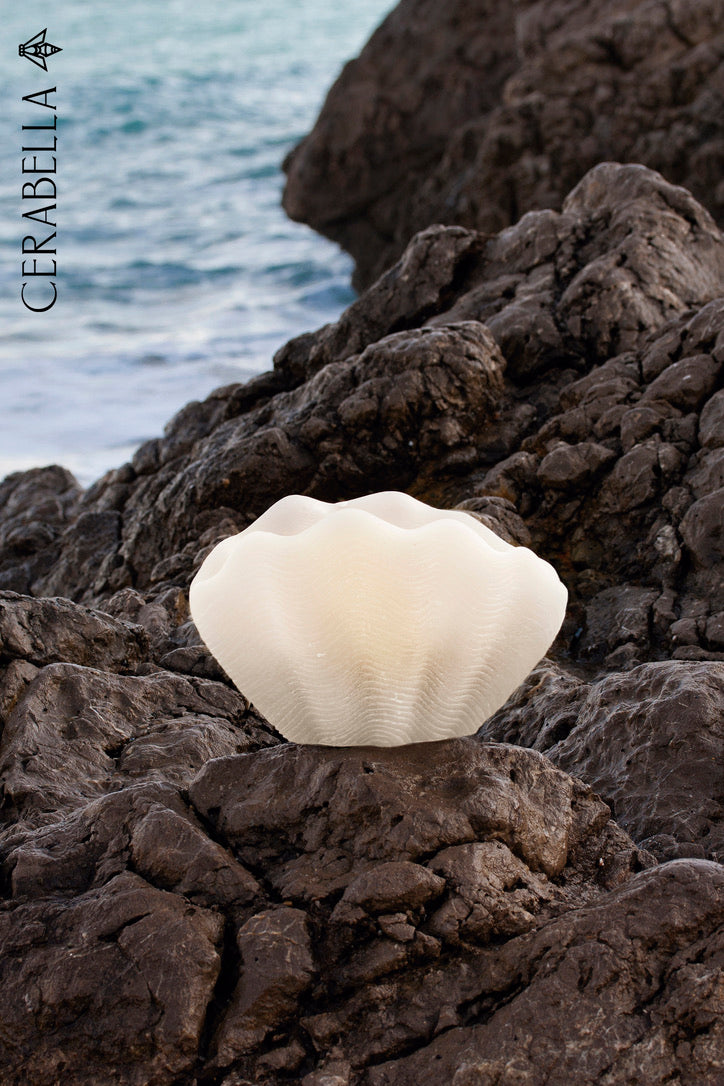 Cerabella SHELL - Sculptural candle piece