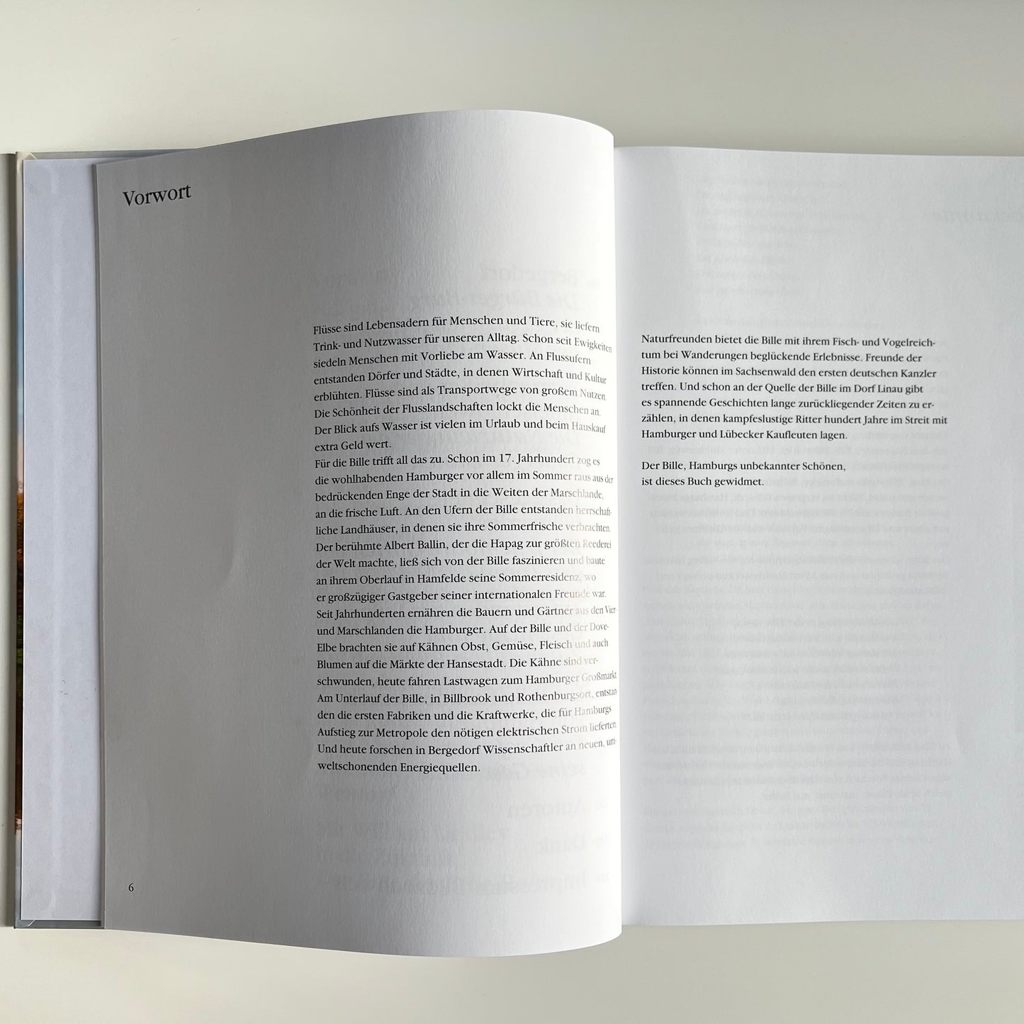 Vorwort des Buchs "Die Bille - Hamburgs unbekannte Schöne"