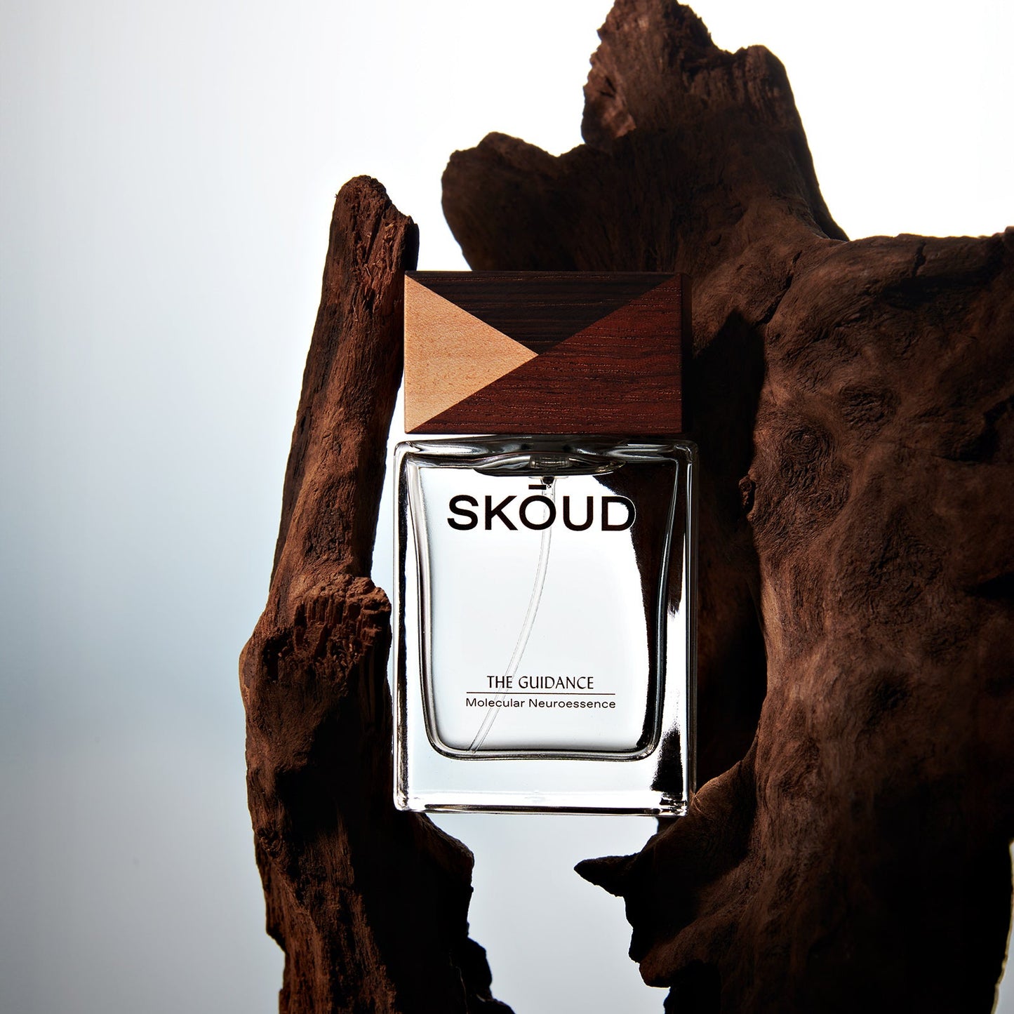 SKŌUD - THE GUIDANCE Neuroessence