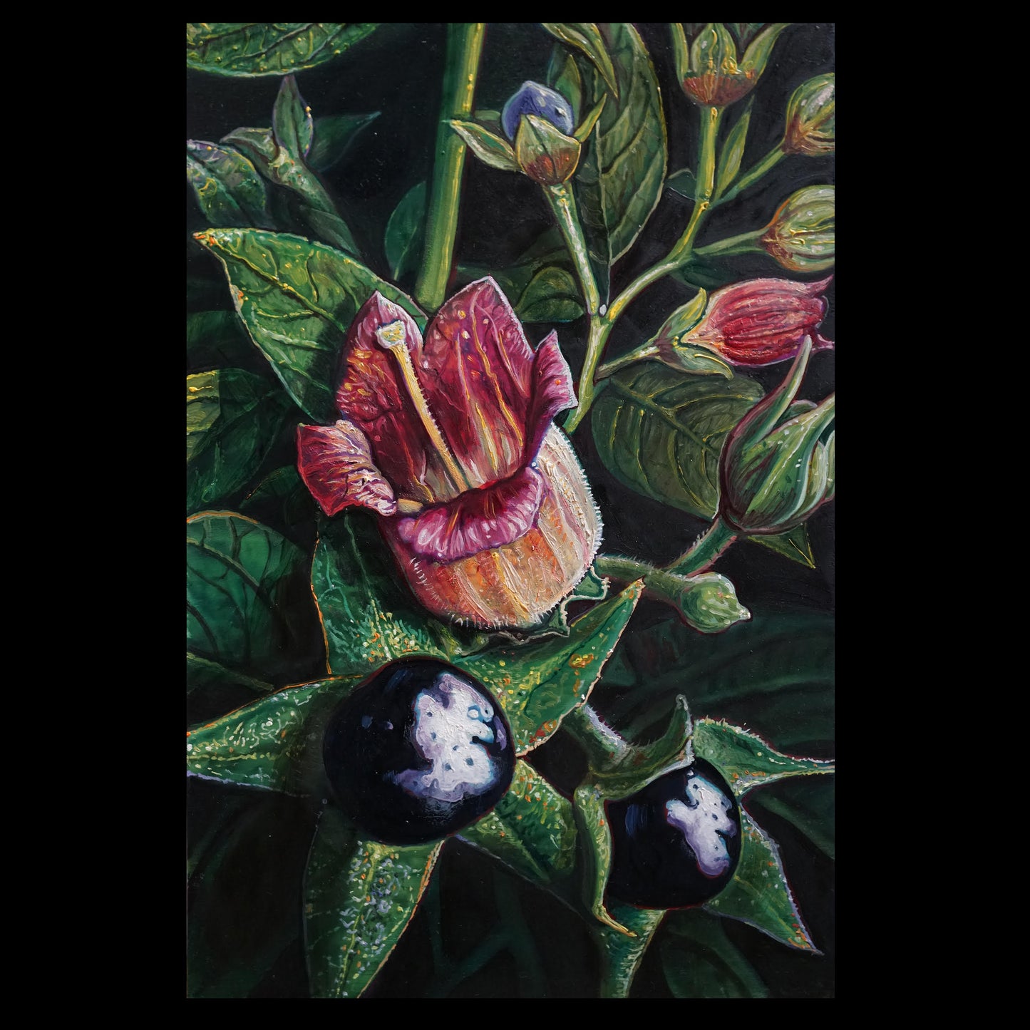 Dimitris Tzamouranis - Fleurs empoisonnées